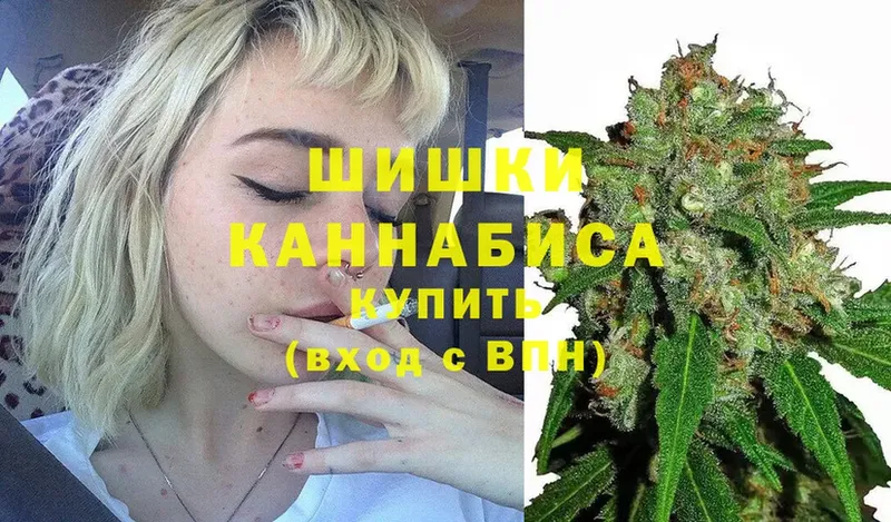 как найти закладки  Волгоград  мега как зайти  Шишки марихуана SATIVA & INDICA 